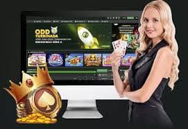 jlbet 77
